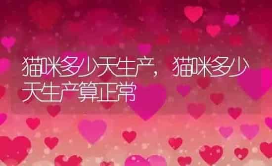 猫咪多少天生产,猫咪多少天生产算正常 | 养殖科普