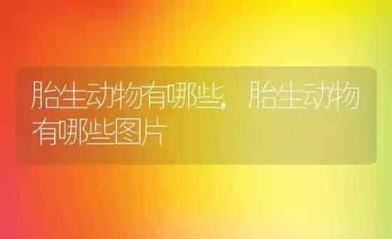 胎生动物有哪些,胎生动物有哪些图片 | 养殖资料