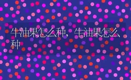 牛油果怎么种,牛油果怎么种 | 养殖科普
