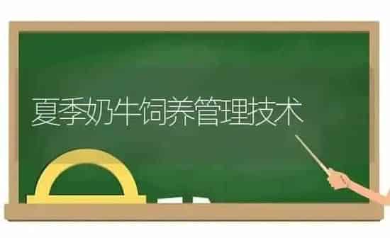 夏季奶牛饲养管理技术 | 养殖知识