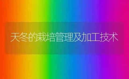 天冬的栽培管理及加工技术 | 养殖知识
