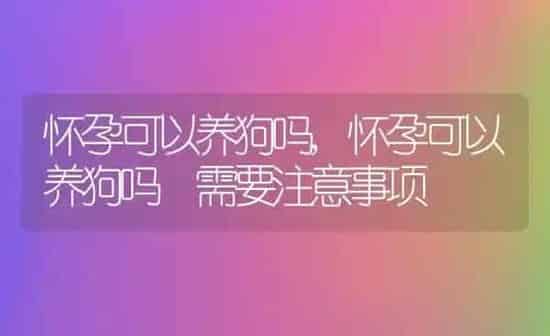 怀孕可以养狗吗,怀孕可以养狗吗 需要注意事项 | 养殖资料
