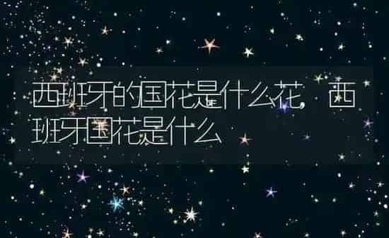 西班牙的国花是什么花,西班牙国花是什么 | 养殖学堂