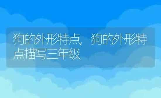 狗的外形特点,狗的外形特点描写三年级 | 养殖科普