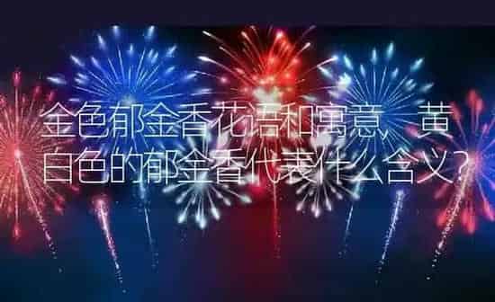 金色郁金香花语和寓意,黄白色的郁金香代表什么含义？ | 养殖科普