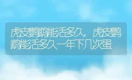 虎皮鹦鹉能活多久,虎皮鹦鹉能活多久一年下几次蛋 | 养殖科普