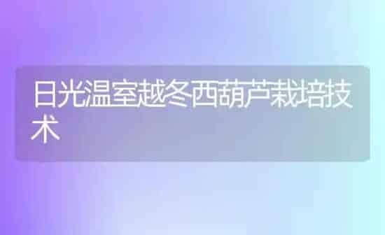 日光温室越冬西葫芦栽培技术 | 养殖技术大全