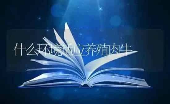 什么环境适应养殖肉牛 | 养殖知识