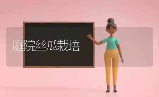 庭院丝瓜栽培 | 养殖知识