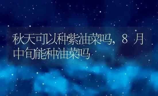 秋天可以种紫油菜吗,8月中旬能种油菜吗 | 养殖学堂
