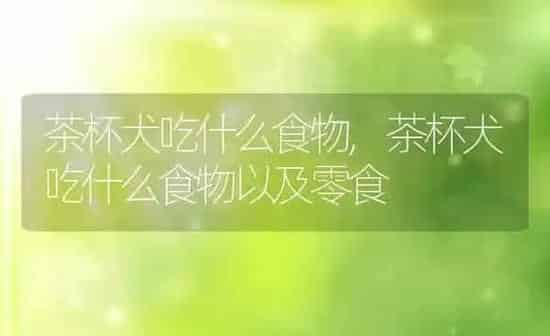 养猫还是养狗,养猫还是养狗很纠结 | 养殖科普