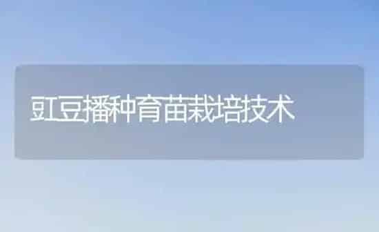 豇豆播种育苗栽培技术 | 养殖知识