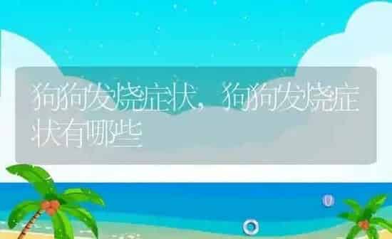 狗狗发烧症状,狗狗发烧症状有哪些 | 养殖科普