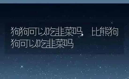 狗狗可以吃韭菜吗,比熊狗狗可以吃韭菜吗 | 养殖科普