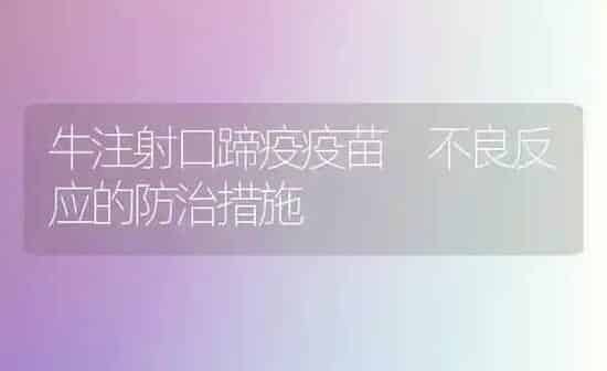 牛注射口蹄疫疫苗　不良反应的防治措施 | 养殖知识