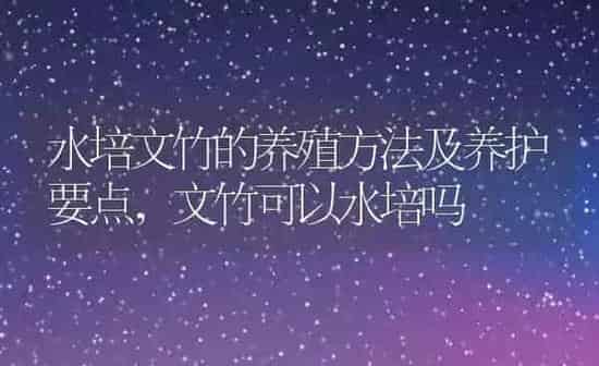 水培文竹的养殖方法及养护要点,文竹可以水培吗 | 养殖学堂
