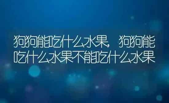 狗狗能吃什么水果,狗狗能吃什么水果不能吃什么水果 | 养殖资料
