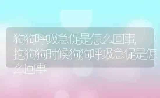 狗狗呼吸急促是怎么回事,抱狗狗时候狗狗呼吸急促是怎么回事 | 养殖科普