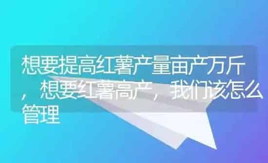想要提高红薯产量亩产万斤,想要红薯高产，我们该怎么管理 | 养殖学堂