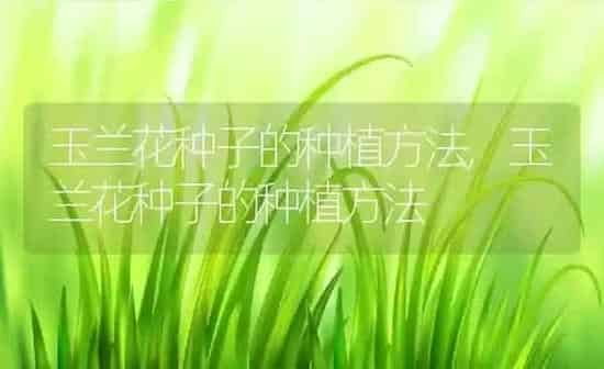 小狗几天能睁开眼睛,小狗几天能睁开眼睛用人扒吗 | 养殖科普