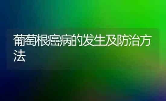 鹌鹑啄癖症防治 | 养殖技术大全