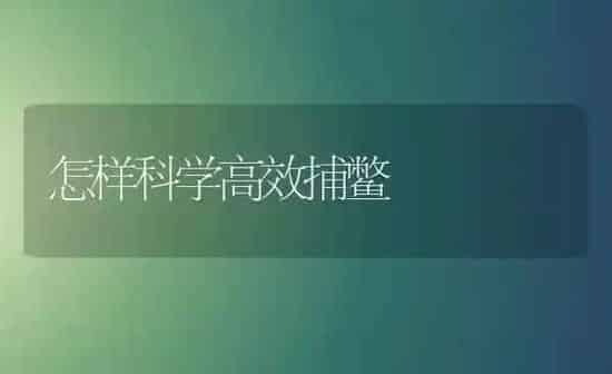 怎样科学高效捕鳖 | 养殖知识