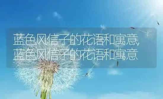 蓝色风信子的花语和寓意,蓝色风信子的花语和寓意 | 养殖科普
