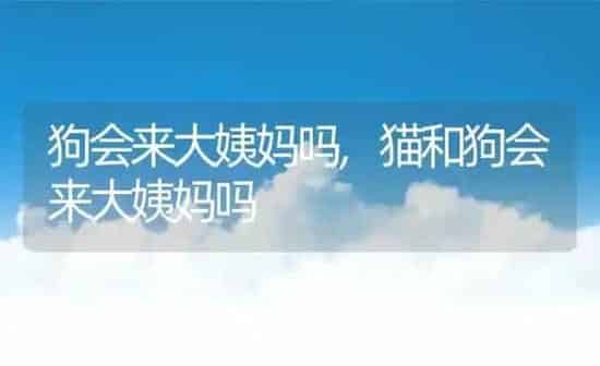 狗会来大姨妈吗,猫和狗会来大姨妈吗 | 养殖科普
