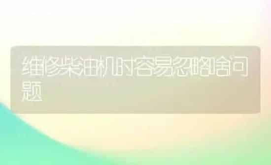 维修柴油机时容易忽略啥问题 | 养殖知识