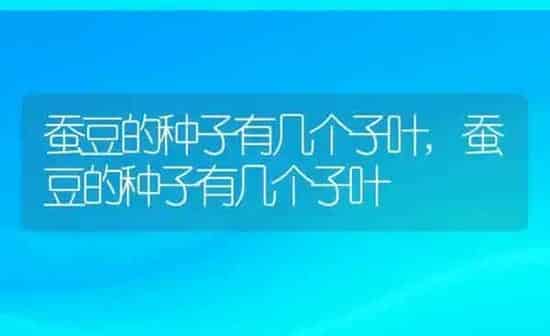 蚕豆的种子有几个子叶,蚕豆的种子有几个子叶 | 养殖科普