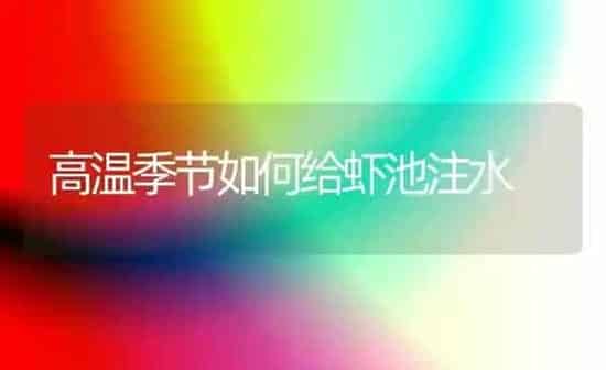 高温季节如何给虾池注水 | 养殖技术大全