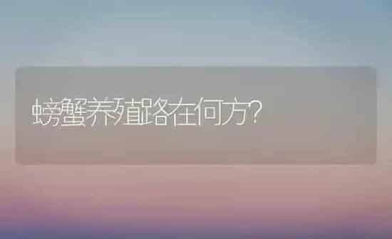 螃蟹养殖路在何方? | 养殖技术大全