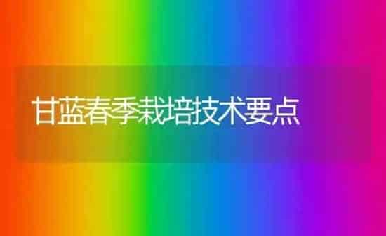 甘蓝春季栽培技术要点 | 养殖知识