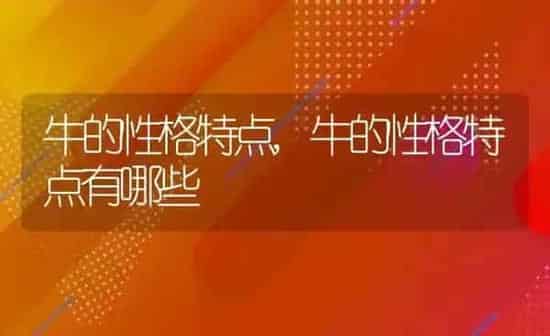 牛的性格特点,牛的性格特点有哪些 | 养殖科普