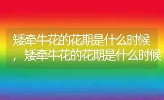 矮牵牛花的花期是什么时候,矮牵牛花的花期是什么时候 | 养殖科普