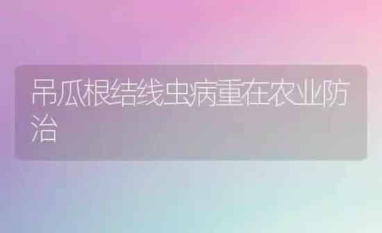 吊瓜根结线虫病重在农业防治 | 养殖知识