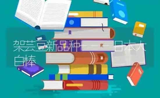 架芸豆新品种---日本大白棒 | 养殖技术大全