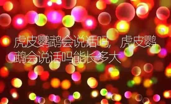 虎皮鹦鹉会说话吗,虎皮鹦鹉会说话吗能长多大 | 养殖科普