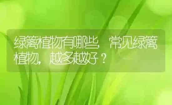 绿篱植物有哪些,常见绿篱植物，越多越好？ | 养殖科普