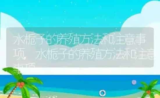 水栀子的养殖方法和注意事项,水栀子的养殖方法和注意事项 | 养殖科普