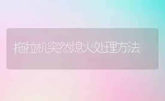 拖拉机突然熄火处理方法 | 养殖知识