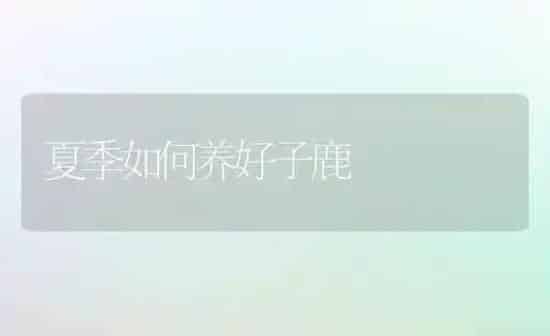 夏季如何养好子鹿 | 养殖知识