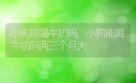 小狗能喝牛奶吗,小狗能喝牛奶吗两三个月大 | 养殖科普