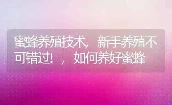 梧桐花的花语和寓意是什么意思开花的含义,梧桐树秋天开花啥意思 | 养殖学堂