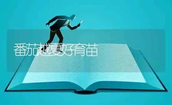 番茄越夏好育苗 | 养殖技术大全