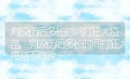 狗咬伤后多长时间打狂犬疫苗,狗咬伤后多长时间打狂犬疫苗不算晚 | 养殖科普