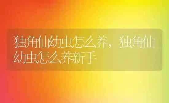 独角仙幼虫怎么养,独角仙幼虫怎么养新手 | 养殖资料