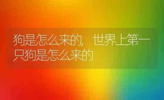 狗是怎么来的,世界上第一只狗是怎么来的 | 养殖科普