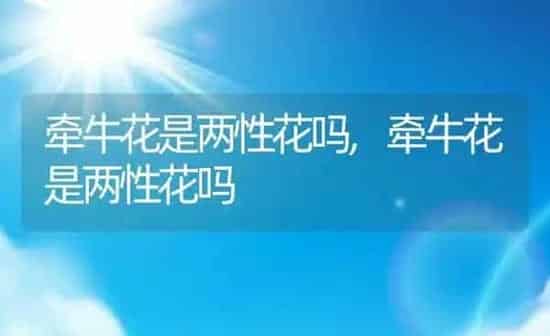 牵牛花是两性花吗,牵牛花是两性花吗 | 养殖科普