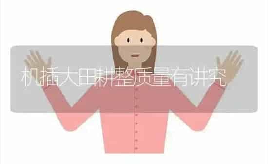 机插大田耕整质量有讲究 | 养殖知识